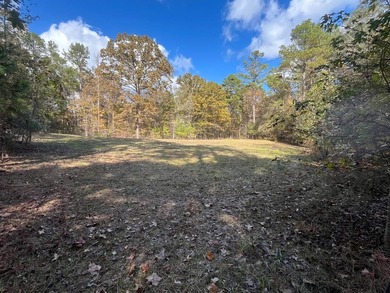 Discover a rare opportunity to own 360+/- acres of mature, mixed - photo 29