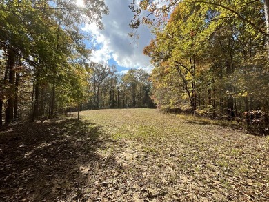 Discover a rare opportunity to own 360+/- acres of mature, mixed - photo 30