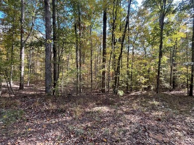Discover a rare opportunity to own 360+/- acres of mature, mixed - photo 31
