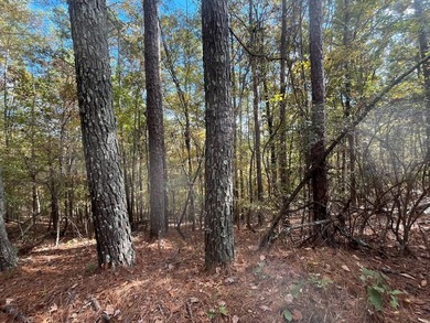 Discover a rare opportunity to own 360+/- acres of mature, mixed - photo 34