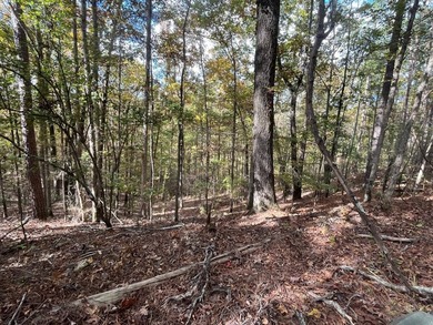 Discover a rare opportunity to own 360+/- acres of mature, mixed - photo 35