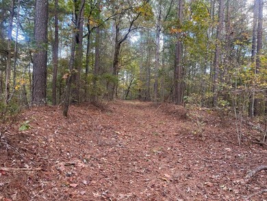 Discover a rare opportunity to own 360+/- acres of mature, mixed - photo 37
