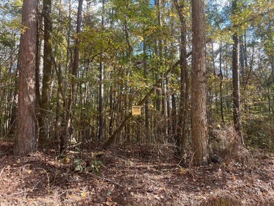 Discover a rare opportunity to own 360+/- acres of mature, mixed - photo 38