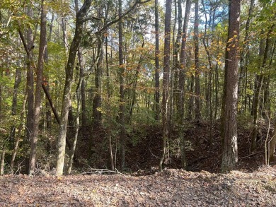 Discover a rare opportunity to own 360+/- acres of mature, mixed - photo 39