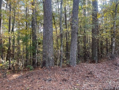 Discover a rare opportunity to own 360+/- acres of mature, mixed - photo 40