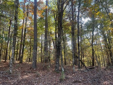 Discover a rare opportunity to own 360+/- acres of mature, mixed - photo 41