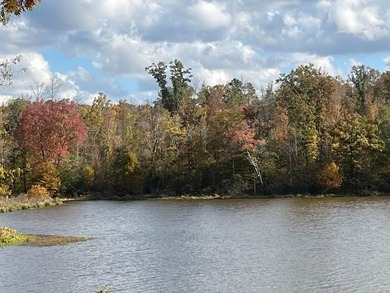 Discover a rare opportunity to own 360+/- acres of mature, mixed - photo 42