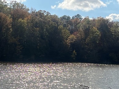 Discover a rare opportunity to own 360+/- acres of mature, mixed - photo 44