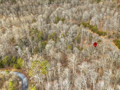 Build in Rock Harbor: .84-Acre Wooded Lot + Norris Lake Access - photo 16