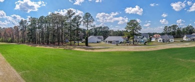 THIS WONDERFUL 4B/3B HOME SITS ON A CUL DE SAC LOT OVERLOOKING - photo 46