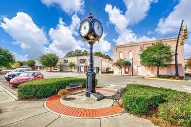 THIS WONDERFUL 4B/3B HOME SITS ON A CUL DE SAC LOT OVERLOOKING - photo 60