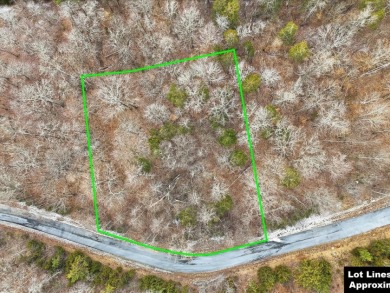 Build in Rock Harbor: .84-Acre Wooded Lot + Norris Lake Access - photo 2
