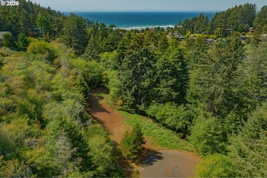 2/3 of an acre prepped and ready for construction. Above grade - photo 11
