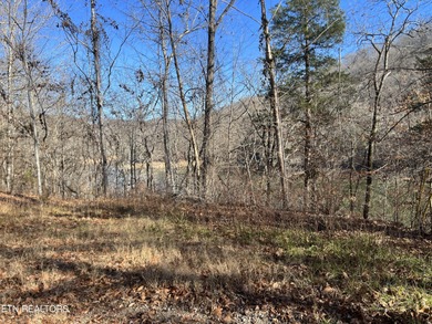 Want a large acreage tract with each individual lot having lake - photo 14