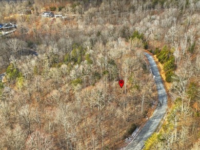 Build in Rock Harbor: .84-Acre Wooded Lot + Norris Lake Access - photo 5