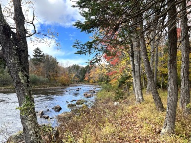 On Cedar River - Adirondacks
 - Lake Lot For Sale in Indian Lake, New York