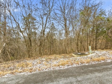 Build in Rock Harbor: .84-Acre Wooded Lot + Norris Lake Access - photo 4