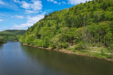 Lake Acreage For Sale in Hancock, New York