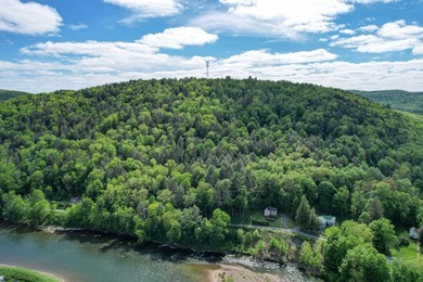 This 105 acre mountain has frontage on the East Branch AND West - photo 8