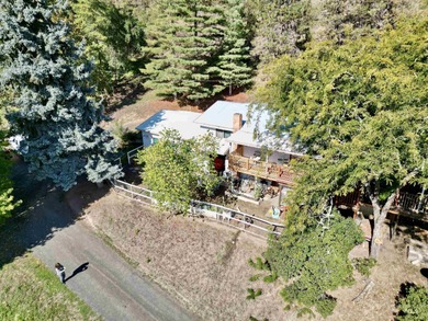 Clearwater River - Idaho County Home For Sale in Kamiah Idaho