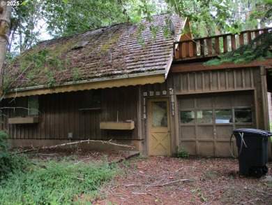 Lake Home For Sale in Birkenfeld, Oregon