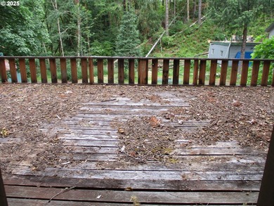 Great opportunity with fix it cabin, vacated for a few yrs. lot - photo 3