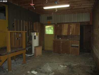 Great opportunity with fix it cabin, vacated for a few yrs. lot - photo 5