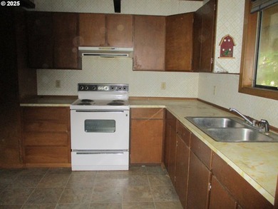 Great opportunity with fix it cabin, vacated for a few yrs. lot - photo 7