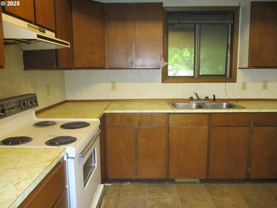 Great opportunity with fix it cabin, vacated for a few yrs. lot - photo 8