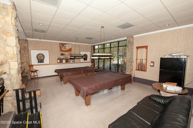 Experience Florida 55+ living at its best! This is your ticket - photo 27
