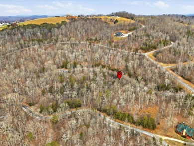 Build in Rock Harbor: .84-Acre Wooded Lot + Norris Lake Access - photo 26