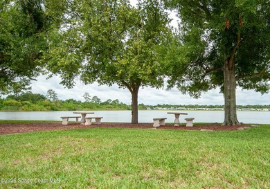 Experience Florida 55+ living at its best! This is your ticket - photo 40