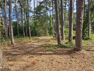 Holly Lake Ranch / Holly Lake Lot For Sale in Holly Lake Ranch Texas