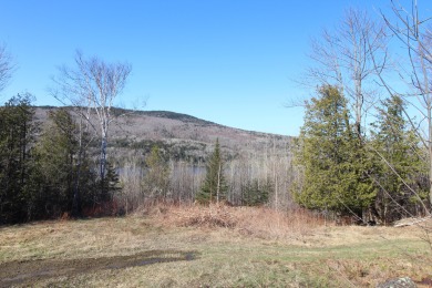 Rangeley Lake Acreage For Sale in Sandy River Plt Maine