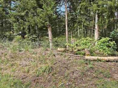 Great opportunity to choose your neighbor and build the homes - photo 6