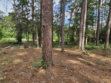 Additional listing photo 4