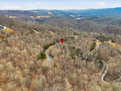 Build in Rock Harbor: .84-Acre Wooded Lot + Norris Lake Access - photo 28