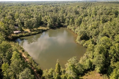  Acreage For Sale in Cuthbert Georgia