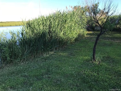 Rare opportunity to own a spectacular bayfront property - photo 19