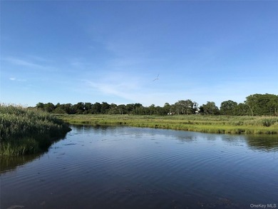 Rare opportunity to own a spectacular bayfront property - photo 26