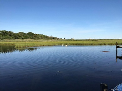 Rare opportunity to own a spectacular bayfront property - photo 27