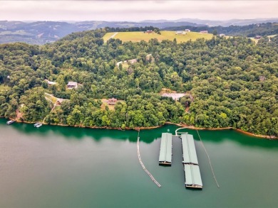 Build in Rock Harbor: .84-Acre Wooded Lot + Norris Lake Access - photo 9