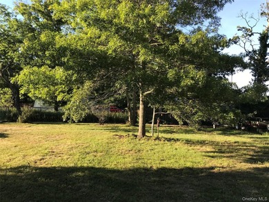 Rare opportunity to own a spectacular bayfront property - photo 36