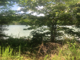 Cherokee Lakefront Lot in Gated Community SOLD - Lake Lot SOLD! in Mooresburg, Tennessee