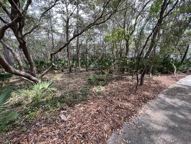 Amazing Opportunity to build your dream home in the most - photo 6