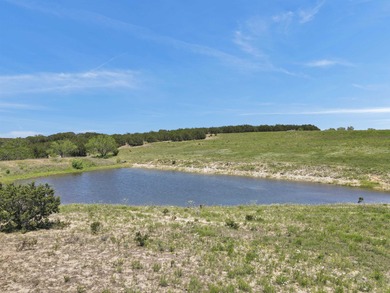 (private lake, pond, creek) Acreage For Sale in Burnet Texas