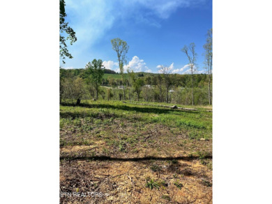 Lake Acreage For Sale in Andersonville, Tennessee