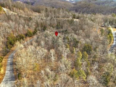 Build in Rock Harbor: .84-Acre Wooded Lot + Norris Lake Access - photo 19