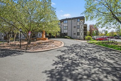Experience maintenance-free lake living at its finest in this - photo 2