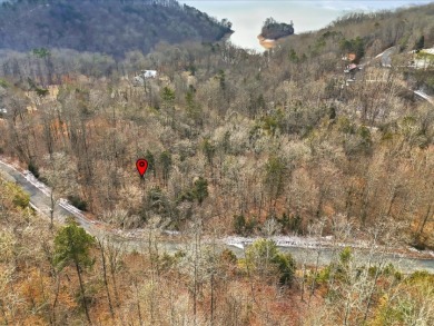 Build in Rock Harbor: .84-Acre Wooded Lot + Norris Lake Access - photo 21